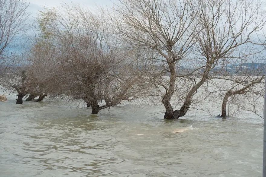 Kuraklıkla boğuşuyordu. Yağışlarla küçük Venedik oldu
 3