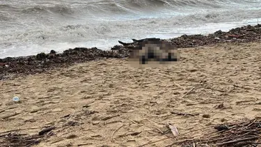 Sarımsaklı sahiline kadın cesedi vurdu