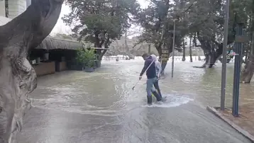 Manavgat Irmağı'nda sular yükseldi, işletmeleri su bastı