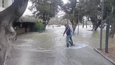 Manavgat Irmağı'nda sular yükseldi, işletmeleri su bastı