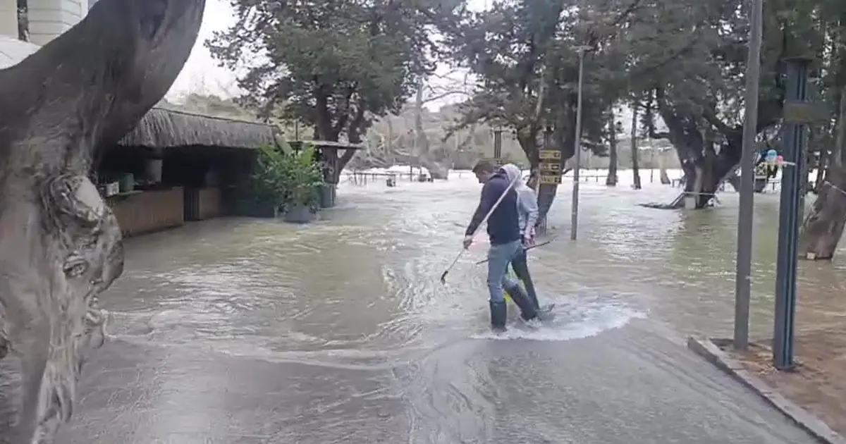 Manavgat Irmağı'nda sular yükseldi, işletmeleri su bastı