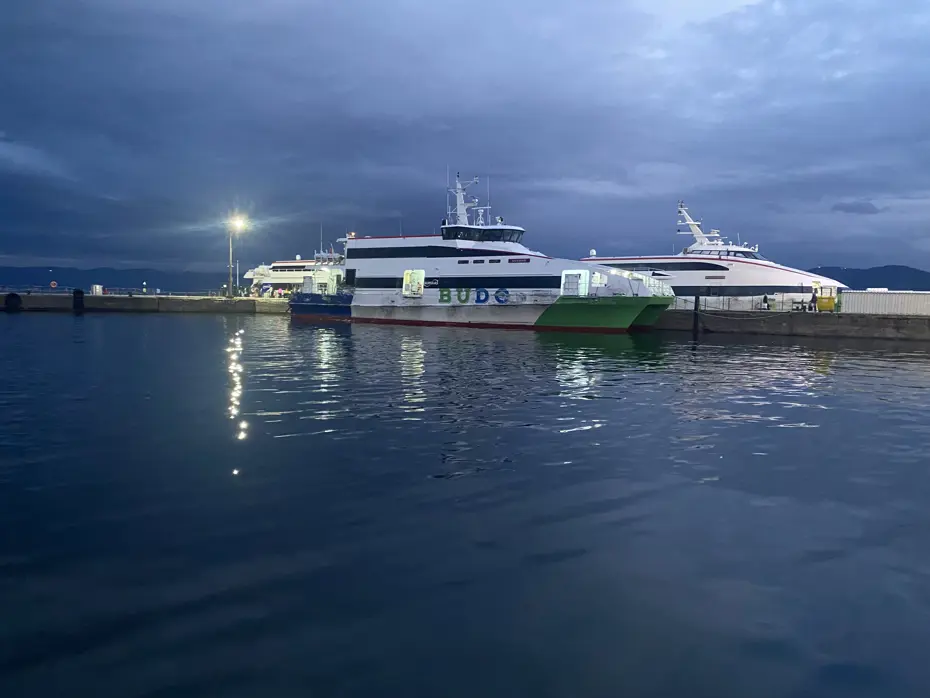 BUDO'nun bazı seferleri iptal edildi