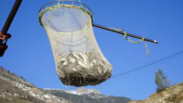 Denizi olmayan şehrin alabalıkları, yurtdışı pazarlarına gönderiliyor