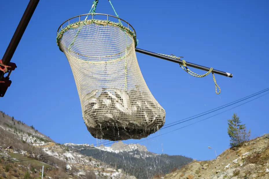 Denizi olmayan şehrin alabalıkları, yurtdışı pazarlarına gönderiliyor