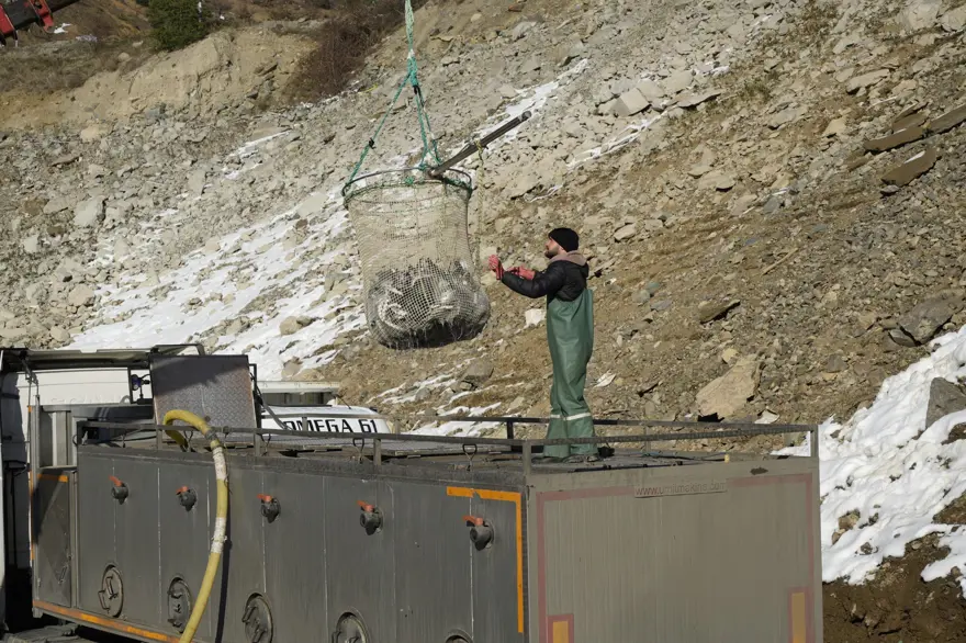 Denizi olmayan şehrin alabalıkları, yurtdışı pazarlarına gönderiliyor 