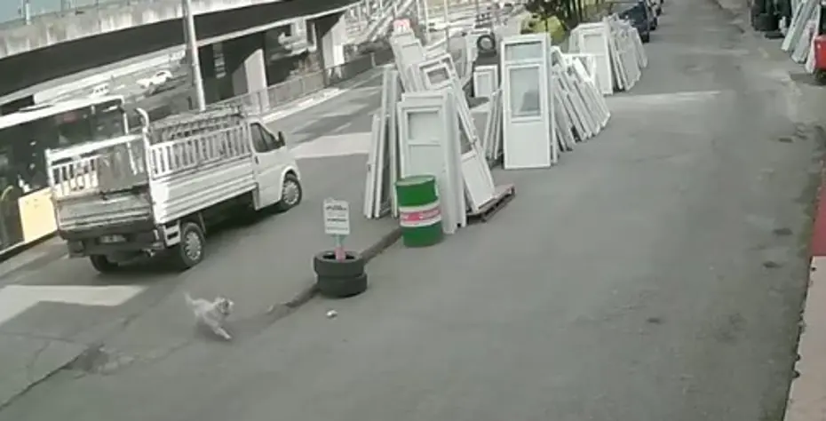 Köpekten kaçmaya çalışan üniversite öğrencisine belediye otobüsü çarptı