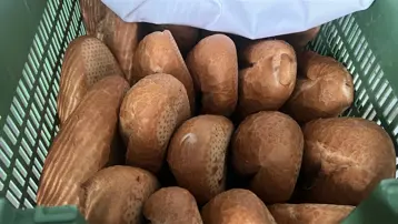 Belediye büfelerindeki bütün ekmekleri aldı, ücretsiz dağıtıyor