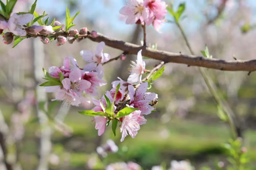 "BEKLENTİMİZ YÜKSEK" 2