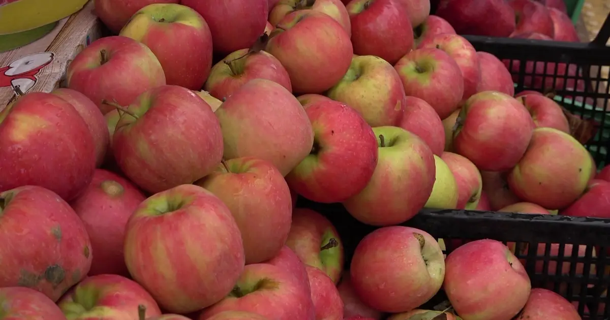 İki renkli olması ve fiyatıyla şaşırtıyor. Yok satan meyve için yıldız testi yapılıyor