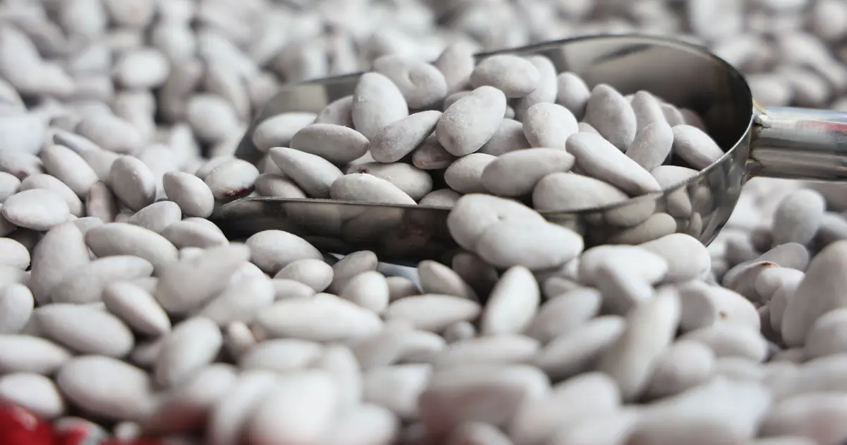 Osmanlı'dan kalan "beyaz altın"ın kilosu 500 liraya dayandı. Ramazan ayının gelmesiyle rekor seviyede üretiliyor