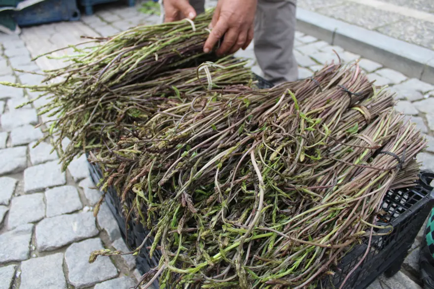 ''Kedirgen'' adıyla da biliniyor. Şifalı bitki pazara indi, bağı 150 TL'ye satılıyor ''Kedirgen'' adıyla da biliniyor. Şifalı bitki pazara indi, bağı 150 TL'ye satılıyor
