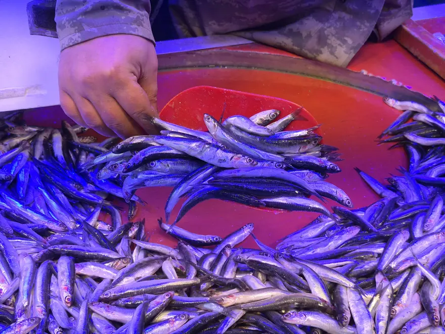 Fiyatı 50 TL'ye kadar düştü. Ucuza almak isteyenler sıraya giriyor 