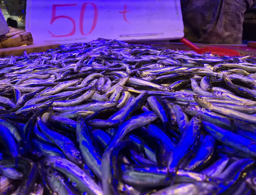 Fiyatı 50 TL'ye kadar düştü. Ucuza almak isteyenler sıraya giriyor 1