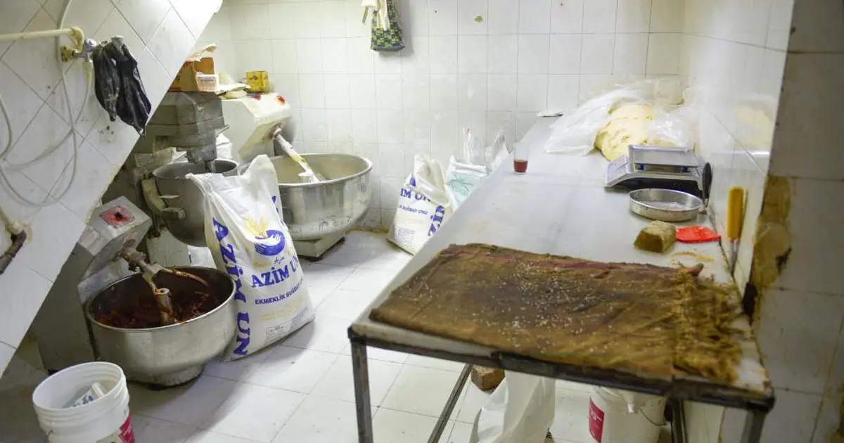 Fırında mide bulandıran görüntü