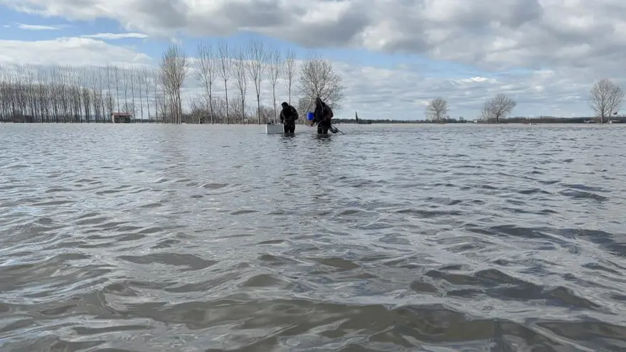 Edirne'de tarlada deniz tuttular 3