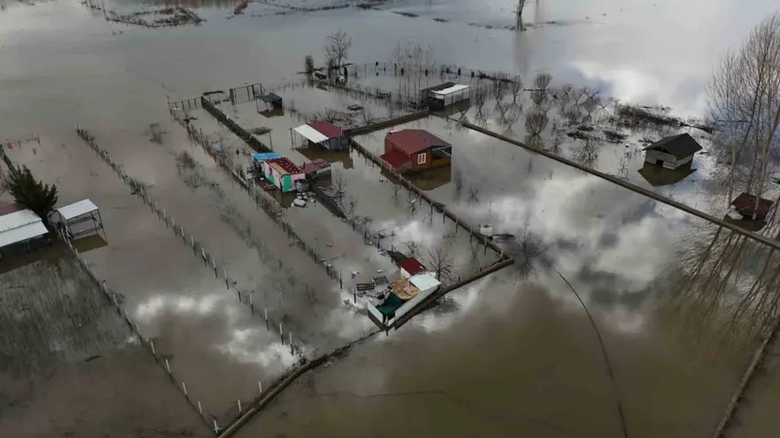 Edirne'de tarlada balık tuttular 4