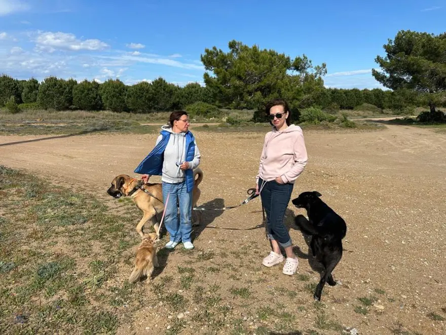 KÖPEKLERİN KAVGA SESİ GELDİ
 2