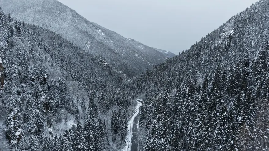 FOTOĞRAFÇILARIN İLGİSİ BÜYÜK 2