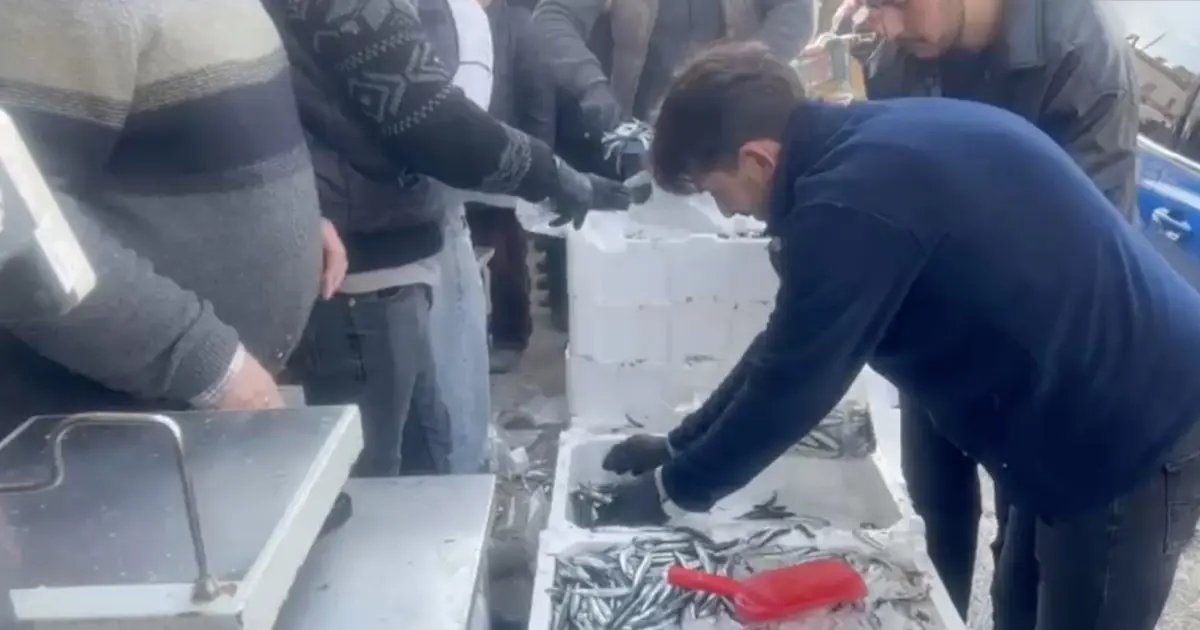 100 kasa bedava dağıttılar. Önünde kuyruk oluştu