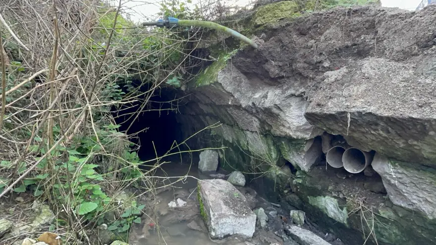Türkiye'de bir örneği daha yok. Trabzon'da ortaya çıktı, uzmanlar da şaşırdı 1
