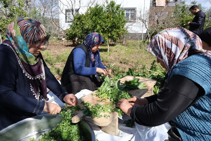 Zehirli olduğu için hayvanlar yemiyor ama sofrada şifaya dönüşüyor. "Andırın doktoru" kabızlığa iyi geliyor 