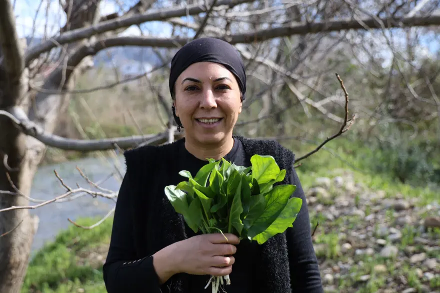 Zehirli olduğu için hayvanlar yemiyor ama sofrada şifaya dönüşüyor. "Andırın doktoru" kabızlığa iyi geliyor 2