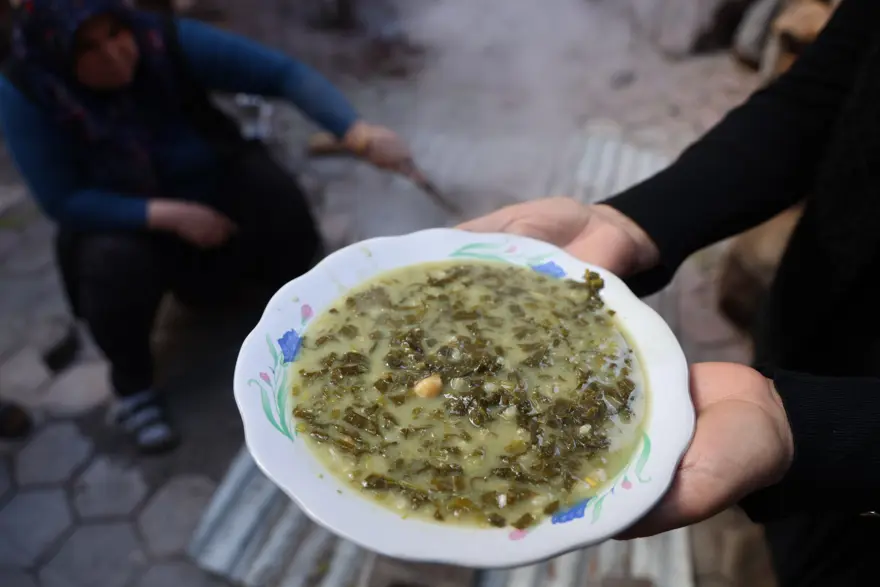 Zehirli olduğu için hayvanlar yemiyor ama sofrada şifaya dönüşüyor. "Andırın doktoru" kabızlığa iyi geliyor 4