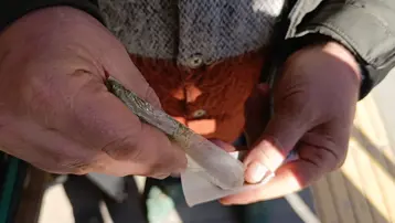 8 paket sigaraya bedel. İçinde yüksek nikotin var, kanseri tetikliyor