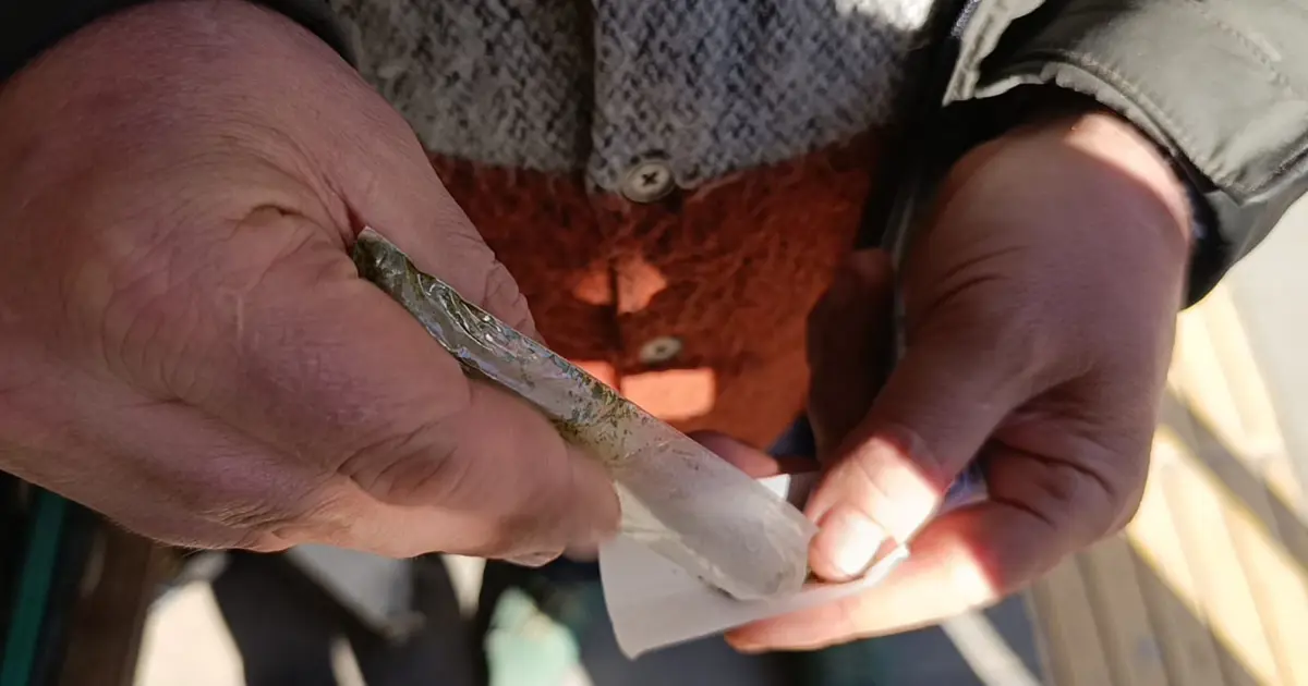 8 paket sigaraya bedel. İçinde yüksek nikotin var, kanseri tetikliyor