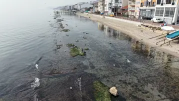Tekirdağ'da deniz çekilince ortaya çıktı. Hikayesi dilden dile dolaşıyor
