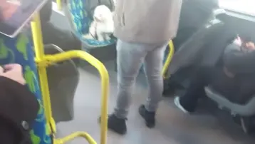 Metrobüste köpek koltukta oturdu, tartışma konusu oldu