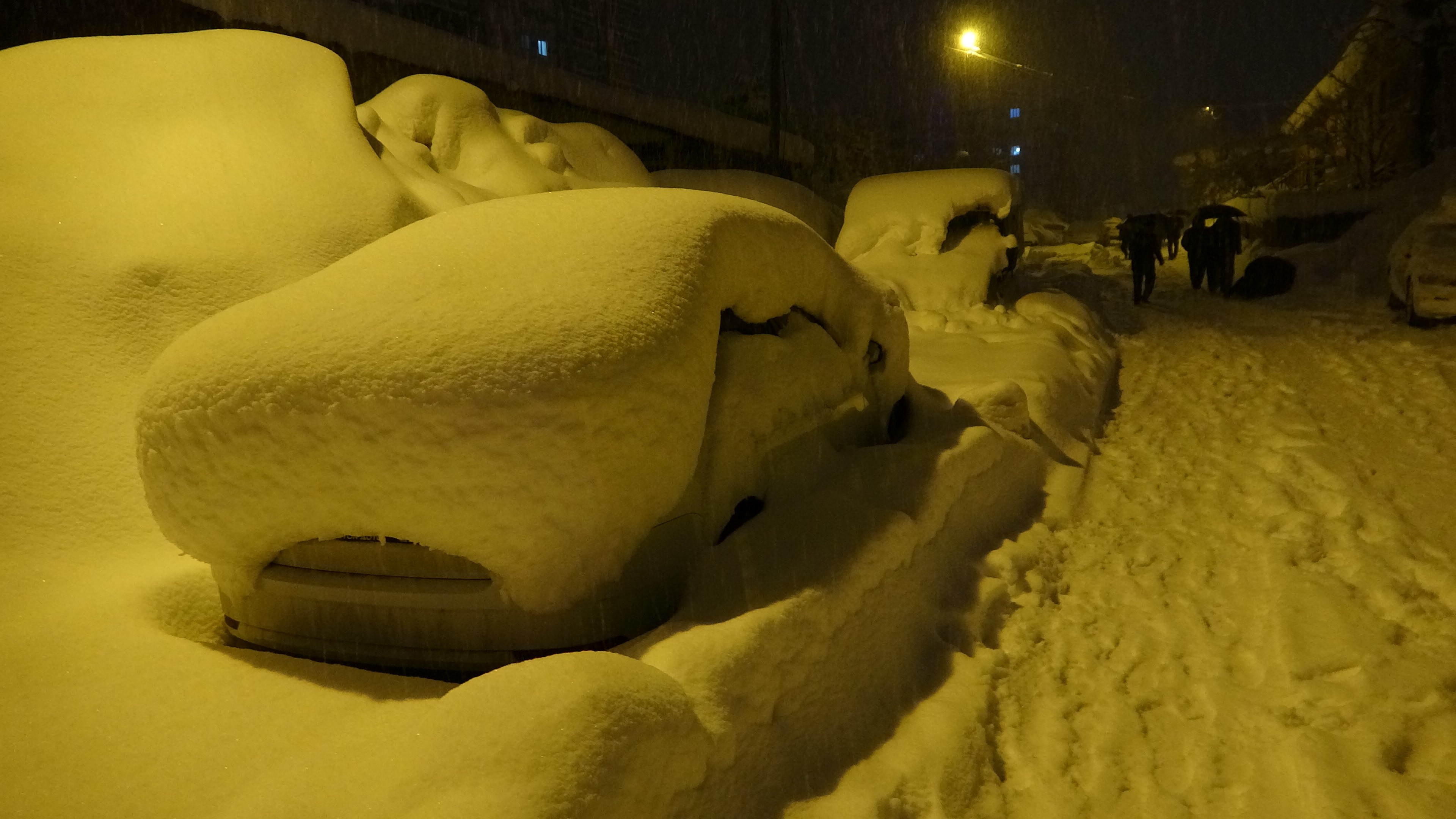 Mart geldi ama Bitlis’te kış bitmedi