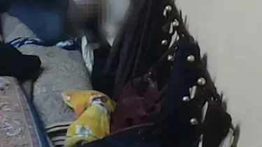 Cinsel istismardan aranan hükümlü halıların arasında yakalandı