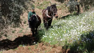 Aylık kazançları 180 bin TL'yi buluyor. Ramazan'da zorlu mesai