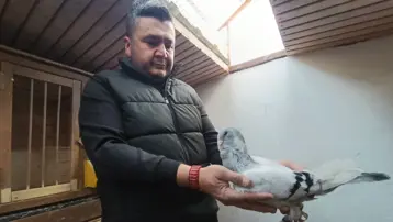 Memurluğu bıraktı, hobisinin peşine düştü. Şimdi otomobil fiyatına satıyor