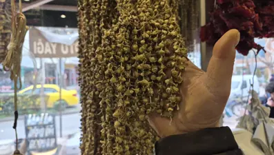 Kilosu 3 bin lirayı geçti. Pek çok hastalığa iyi geldiği biliniyor