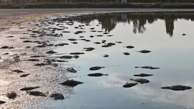 Geçen yıl kuraklıkla mücadeledeydi, şimdi doluluk seviyesine ulaştı