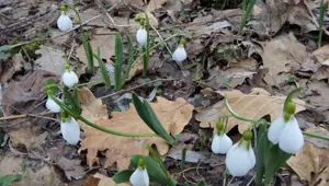 Kopartmanın cezası artık 699 bin TL