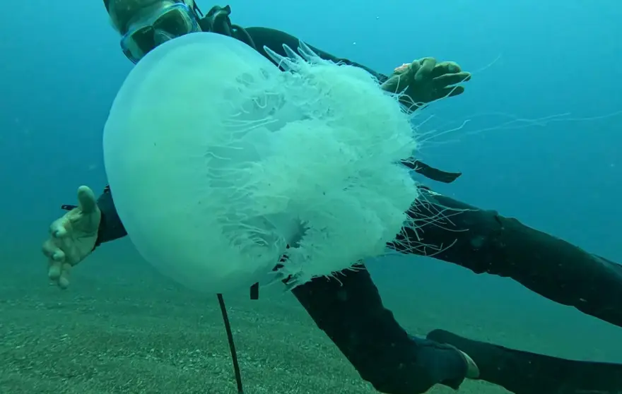 AVCILIĞI GÜÇLAŞTIRIYOR
2 AVCILIĞI GÜÇLAŞTIRIYOR
2