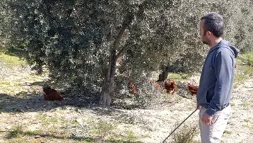 Artan ev kiraları nedeniyle şehirden kaçtı. Köyüne döndü hem üretiyor hem kazanıyor