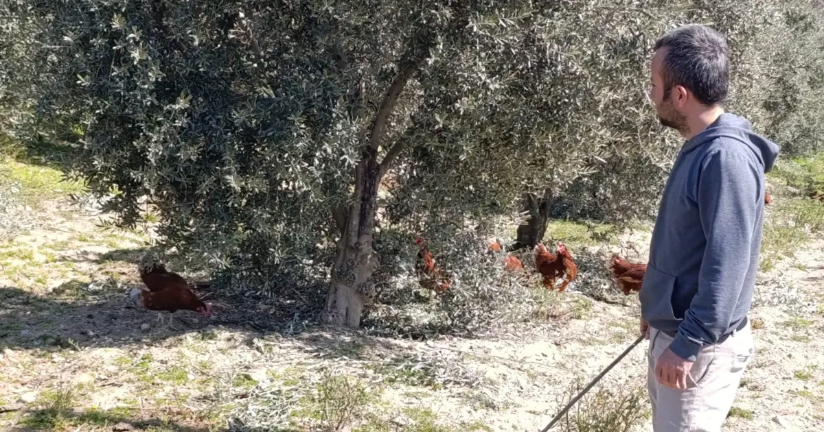 Artan ev kiraları nedeniyle şehirden kaçtı. Köyüne döndü hem üretiyor hem kazanıyor