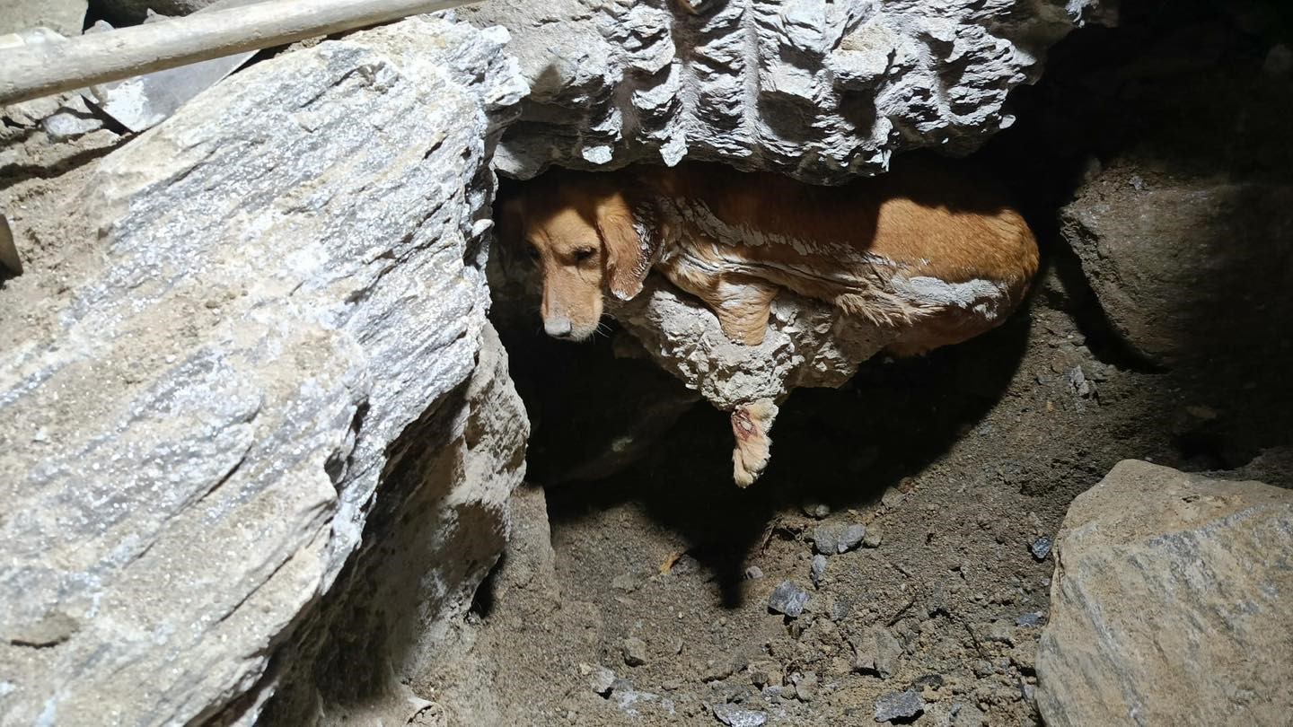 İnşaata dökülen betonda sıkıştı. "Paris" 7 saatte kurtarıldı