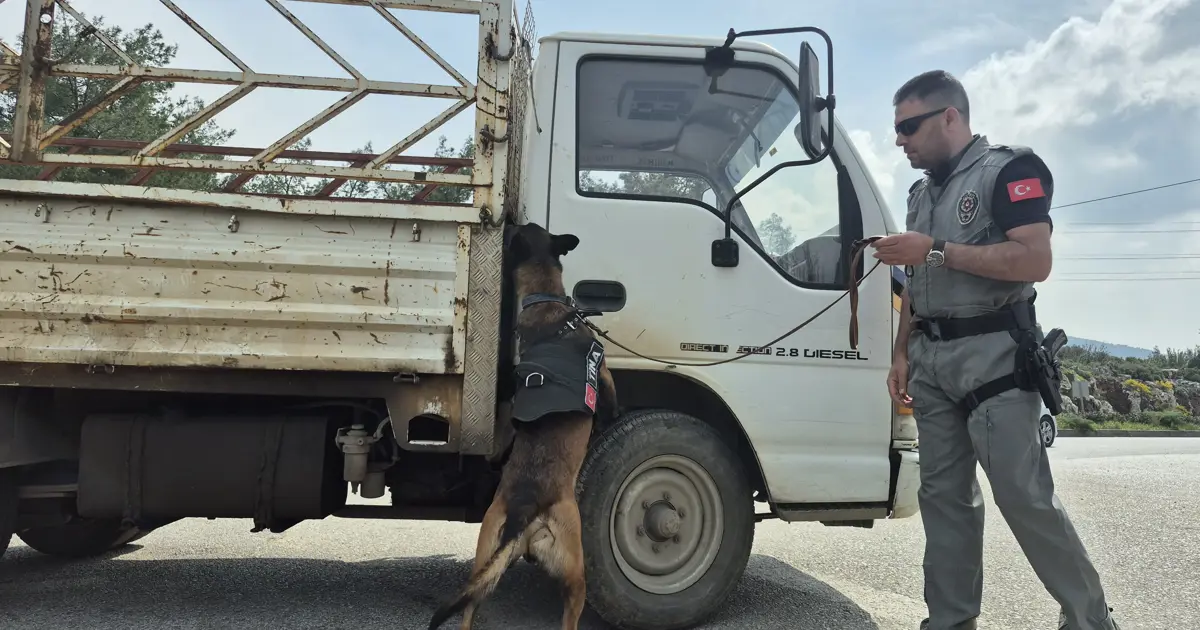 Bayram tatili başlıyor. O ilçeye bir günde 25 bin araç girdi