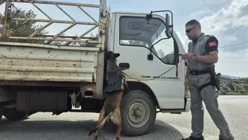 Image 8: Bayram tatili başlıyor. O ilçeye bir günde 25 bin araç girdi