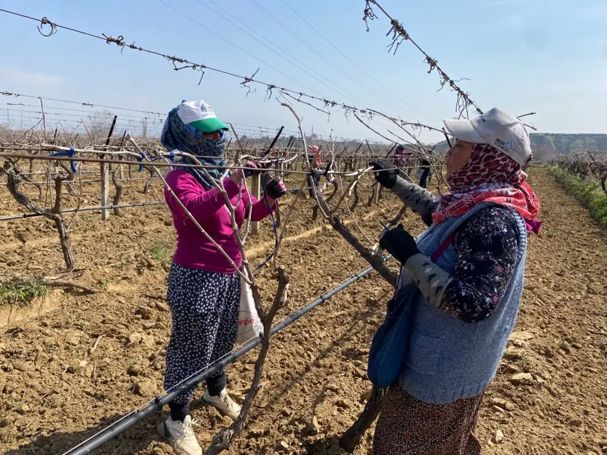 Günlük kazançları bin TL'den başlıyor. Sağanak yağış işlerini zorlaştırdı 1 Günlük kazançları bin TL'den başlıyor. Sağanak yağış işlerini zorlaştırdı 1
