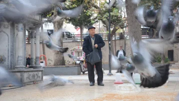 300 güvercine her gün bakıyor. Bayramda eşini dostunu bıraktı, yanlarına koştu
