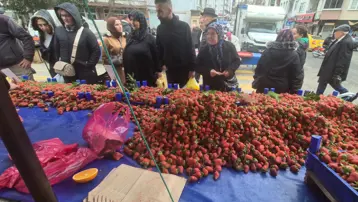 Kilosu 80 TL'ye düştü. Fiyatını duyan tezgaha akın etti