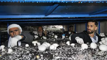 2 bin yıllık mağarayı ekmek kapısına çevirdi. Ayda 3 ton ürün çıkarıyor