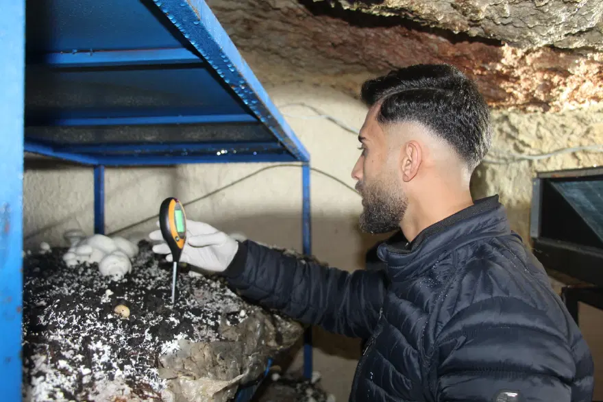 2 bin yıllık mağarayı ekmek kapısına çevirdi. Ayda 3 ton ürün çıkarıyor 2 2 bin yıllık mağarayı ekmek kapısına çevirdi. Ayda 3 ton ürün çıkarıyor 2