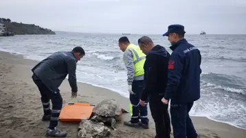 Tekirdağ sahiline ölü caretta caretta vurdu